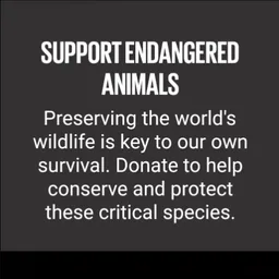 Samsung Global Goals screenshot 22