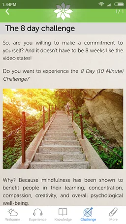 Mindfulness: 2012 screenshot 1