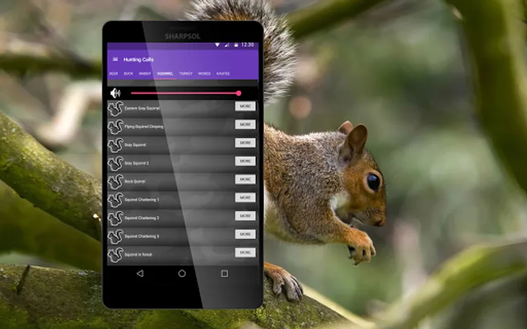Hunting Calls Combo screenshot 3