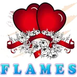 F.L.A.M.E.S. icon