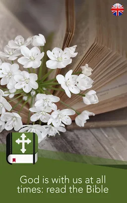 The Holy Catholic Bible screenshot 8