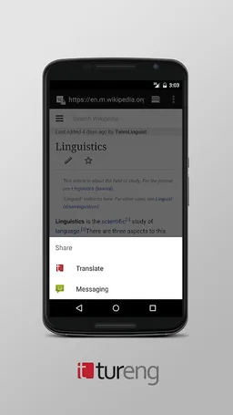 Tureng Dictionary screenshot 8