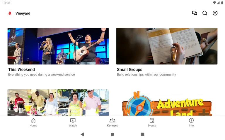 Cape Vineyard screenshot 8