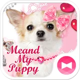 Dog Wallpaper Me and My Puppy icon