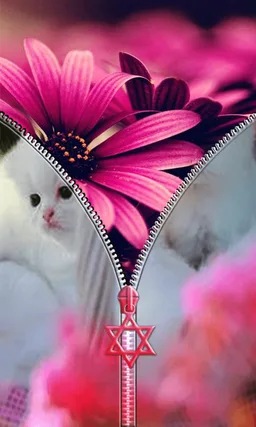 Cute Kitty Lock - Zipper screenshot 5