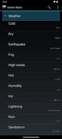 Central Kurdish Basic Phrases screenshot 6