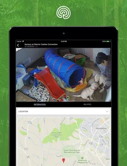 explore.org screenshot 4