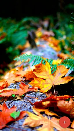 Wallfy (Amoled 4k Wallpapers) screenshot 1