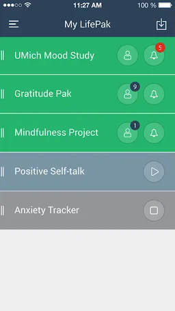 RealLife Exp screenshot 2