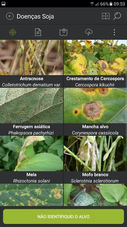 ADAMA Alvo screenshot 5