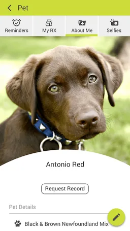 Four Paws PH screenshot 2