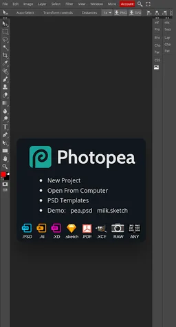 Advanced Editor | Photopea screenshot 5
