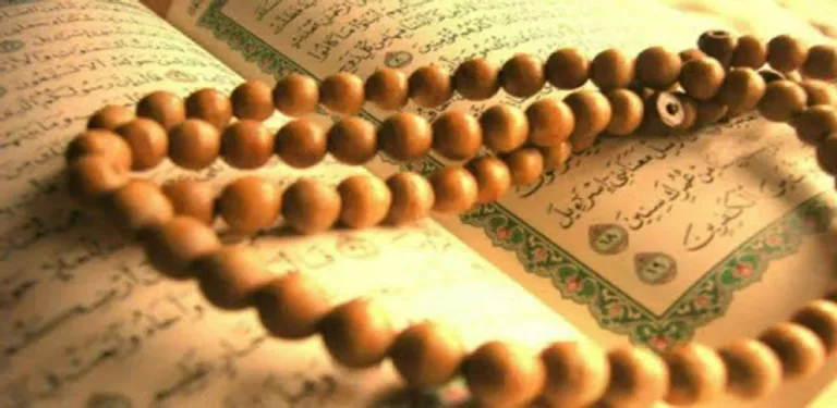 Kalplerin Keşfi cover image