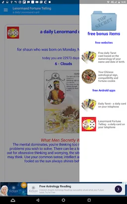 Lenormand Fortunetelling screenshot 24
