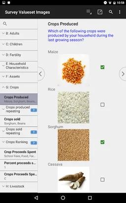CSEntry CSPro Data Entry screenshot 14
