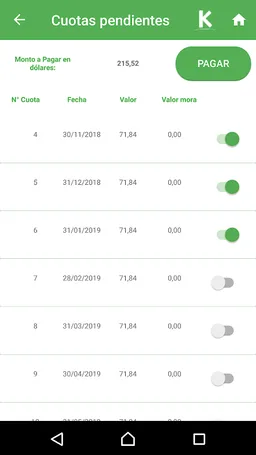 Kantutani Parque Cementerio screenshot 7