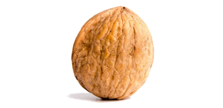 Nut Buddy cover image