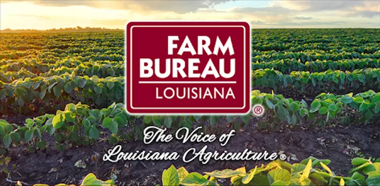 Louisiana Farm Bureau cover image