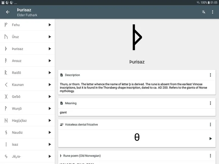 Write in Runic (Runes writer) screenshot 9