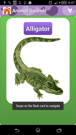 Animal Sounds & Talking Parrot screenshot 3