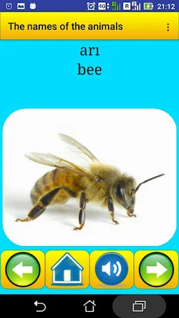 Animal names in Turkish screenshot 4