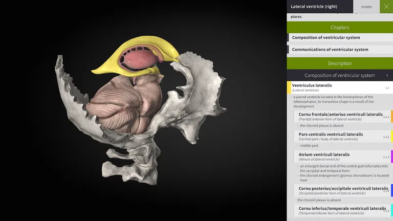 Anatomyka - 3D Anatomy Atlas screenshot 16