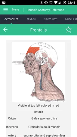 Muscle Anatomy Reference Guide screenshot 9