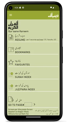 Quraan-E-Karim (13 Lines) screenshot 8