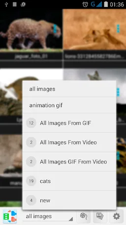 Video to GIF, JPG, PNG screenshot 2