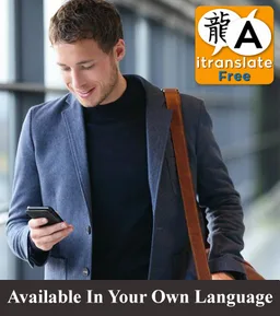 Offline Translator screenshot 1