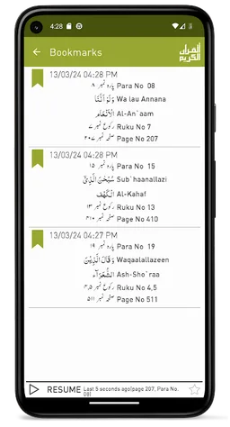 Quraan-E-Karim (13 Lines) screenshot 3