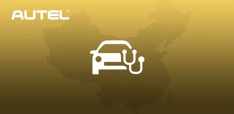 Diag-China cover image