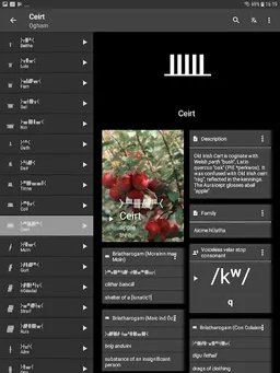 Write in Runic (Runes writer) screenshot 15