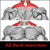 All Neck Exercises icon