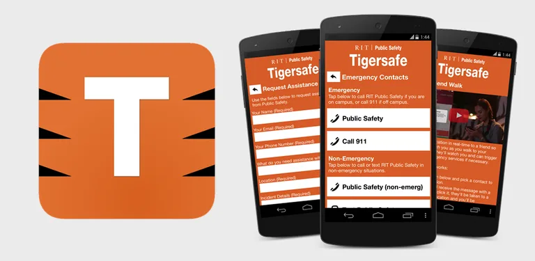 Tigersafe - RIT cover image