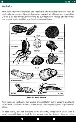 Survival Manual screenshot 6