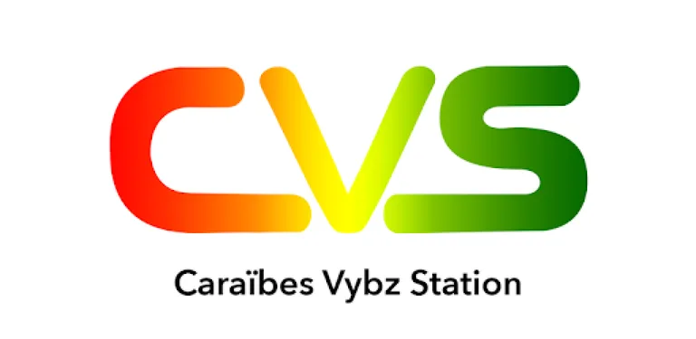 c.v.s cover image