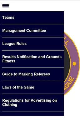 Hull Sunday Football League screenshot 8