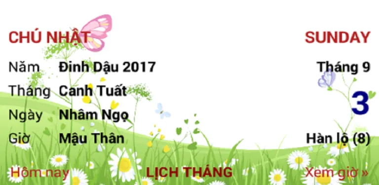 Lich Viet - Dịch Lý Vạn Niên cover image