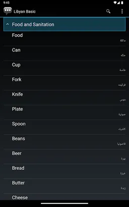 Libyan Basic Phrases screenshot 12
