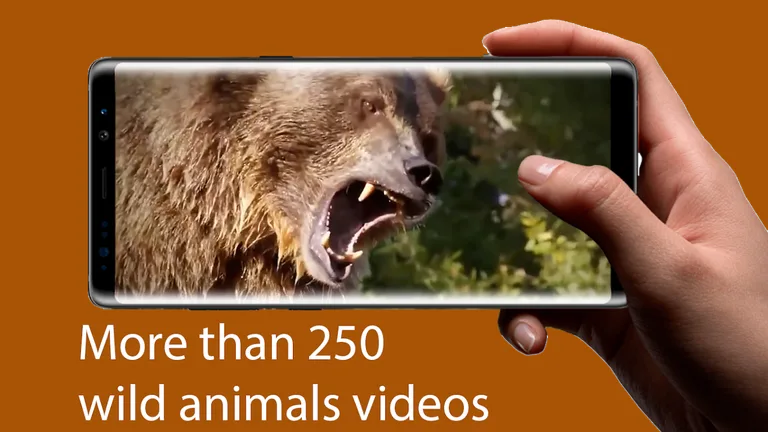 Wild Animals - Documentary Online 🎥 screenshot 5