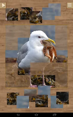Animal Puzzle Games screenshot 10