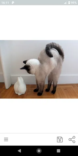 World Of Cats screenshot 2