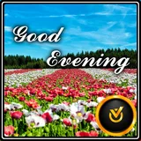 Good Evening flowers icon