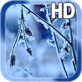 Winter Frost LWP HD icon