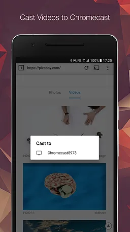 EZ Web Video Cast | Chromecast screenshot 1