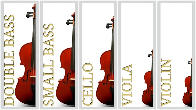 Maple Violin screenshot 15