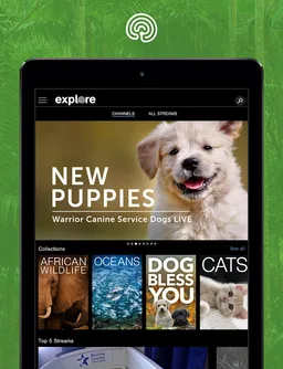 explore.org screenshot 13