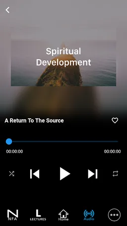 NFA Studios screenshot 1