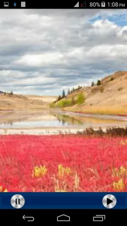 Urdu Nazmen screenshot 6